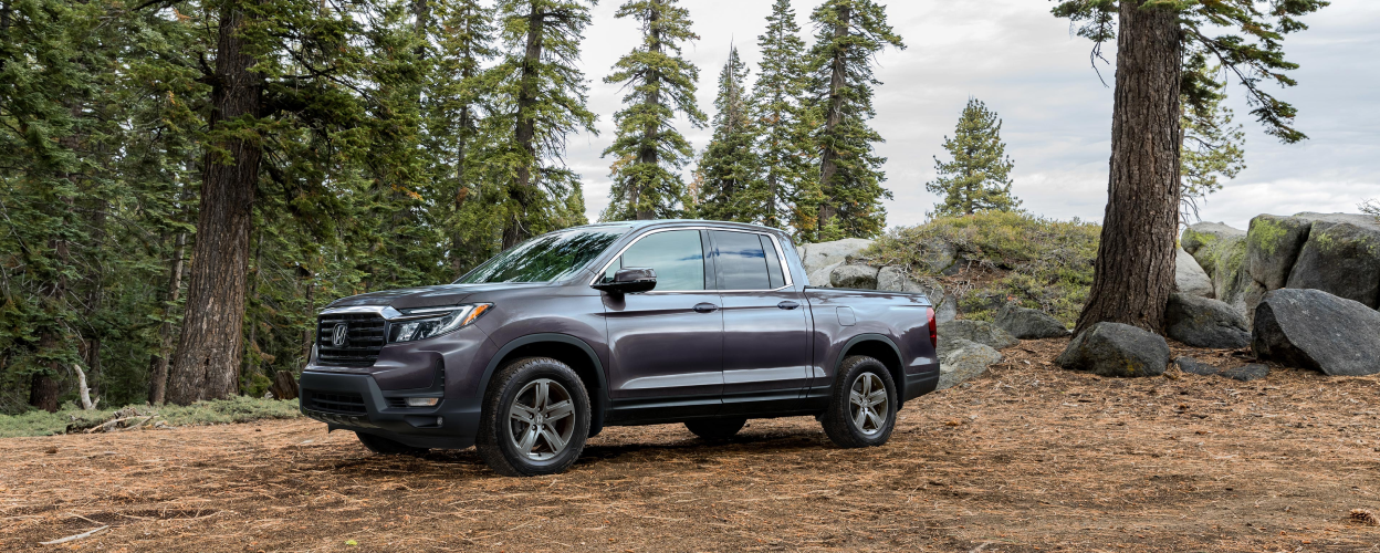 Side view of grey Ridgeline in forest.